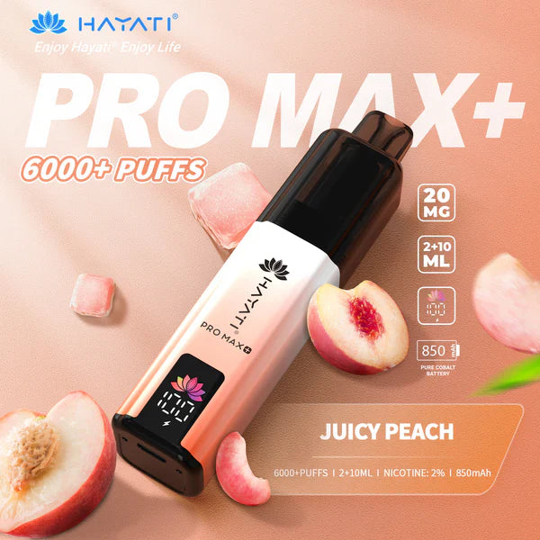 Hayati Pro Max+ 6000 Prefilled Pod Vape kit Dual Flavor